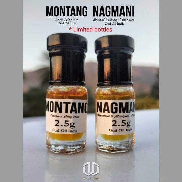406111913_339261985394666_1030098477938174362_n NagMani & Montang-Oud Oil India - Image 1