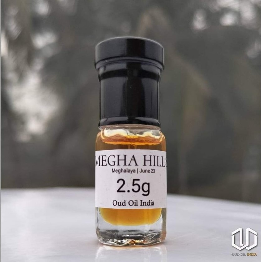 424852617_374093831911481_6627888988948682718_n Megha Hills-Oud Oil India - Image 1