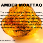 Amber Moattaq