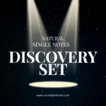 Single Notes Discovery Set