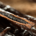 Vanilla Oleoresin - Vanilla Planifolia