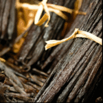 Vanilla Absolute - Vanilla Planifolia