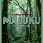 MALUKU-Indonesian Oud Oil